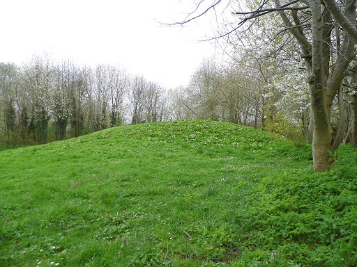 The Hill in Badock's Wood